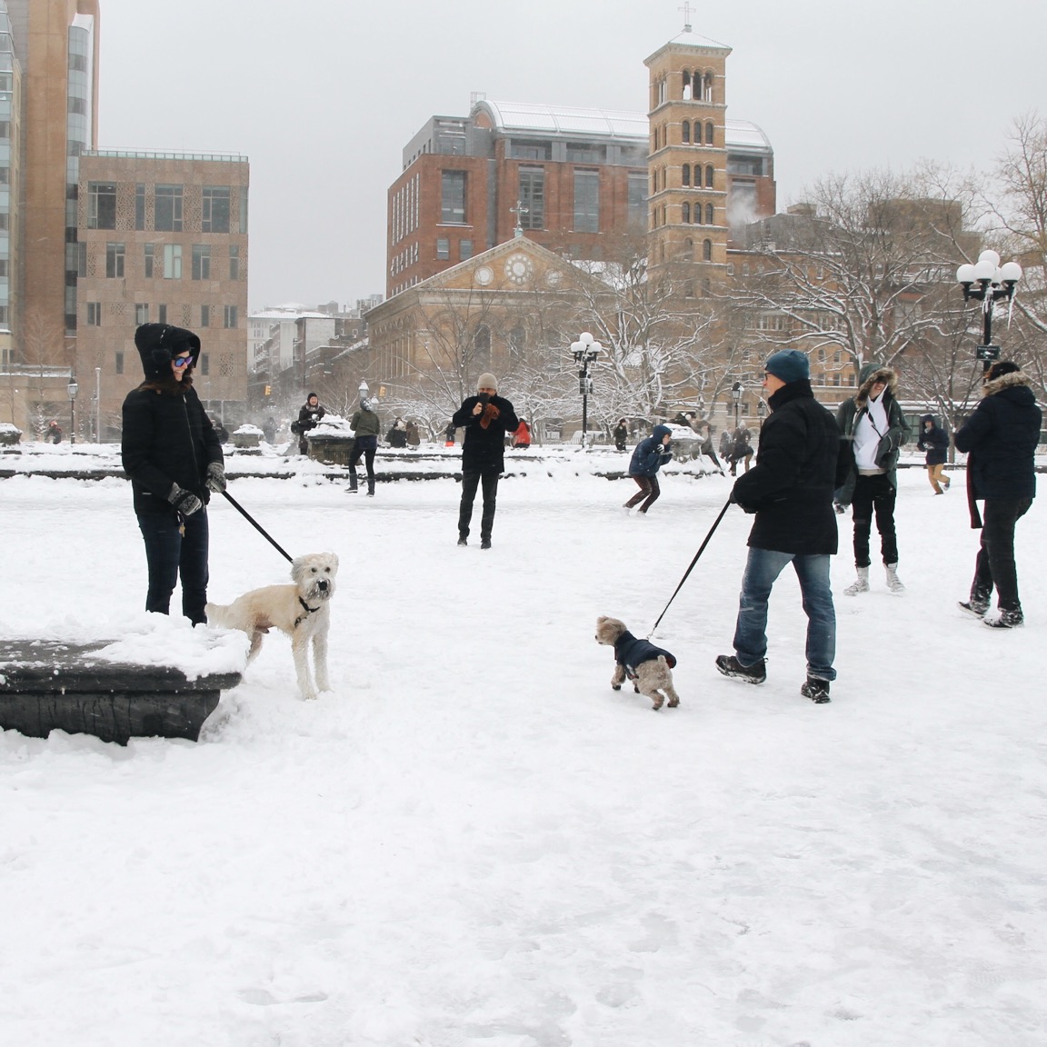 Snow Day Adventures in NYC, Washington Square Park
